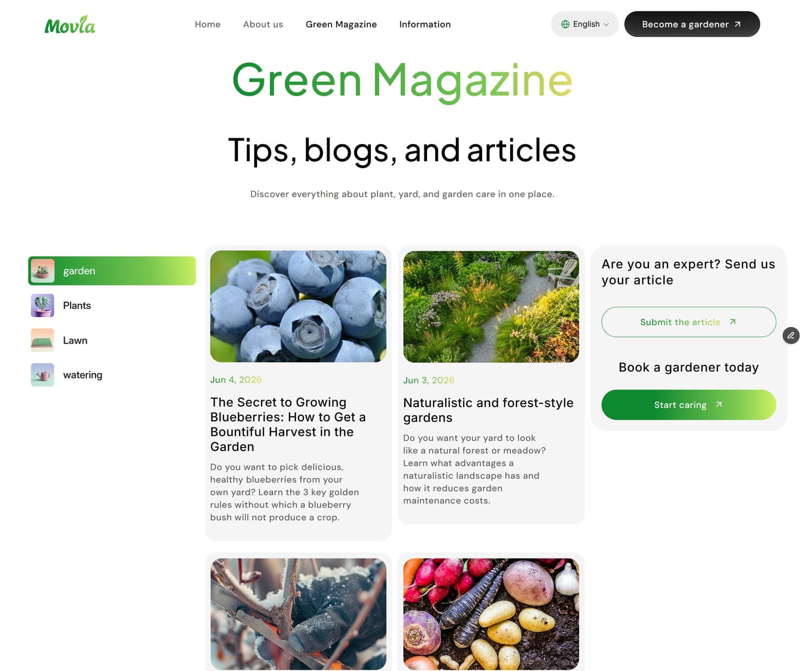Green Magazine content hub